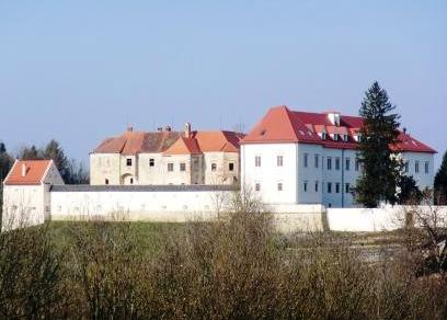 Castle-Negova